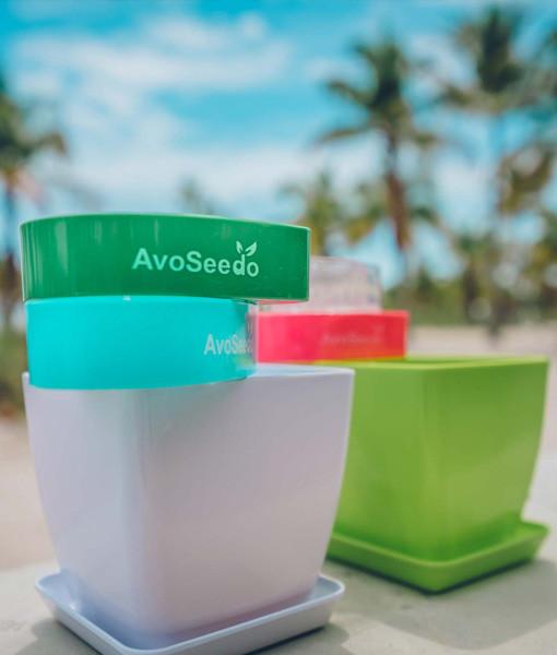 AvoSeedo Plant Pot Set Salmon Rhea