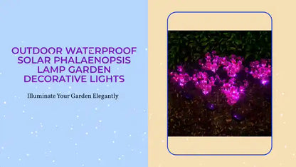 Outdoor Waterproof Solar Phalaenopsis Lamp Garden Decorative Lights by@Outfy